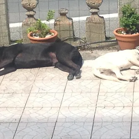 Les Chimeres Gites Appartement *